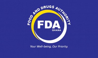 FDA LAUNCHES PROGRESSIVE LICENSING SCHEME FOR SMALL-SCALE AND COTTAGE FOOD PROCESSING FACILITIES